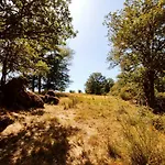 Magnifique Moulin Au Bord D'une Riviere, Calme Absolu, Piano *