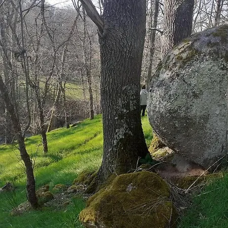 Magnifique Moulin Au Bord D'une Riviere, Calme Absolu, Piano *