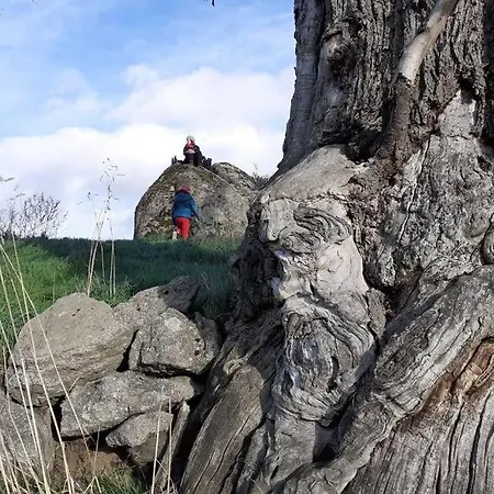 Magnifique Moulin Au Bord D'une Riviere, Calme Absolu, Piano Nyaraló
