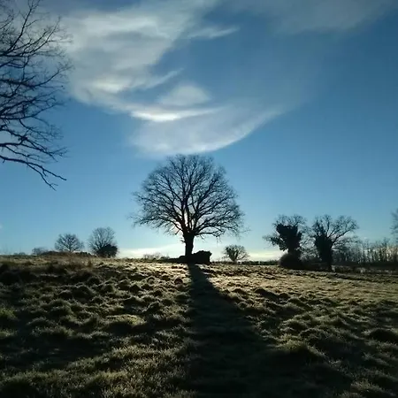 Magnifique Moulin Au Bord D'une Riviere, Calme Absolu, Piano Nyaraló