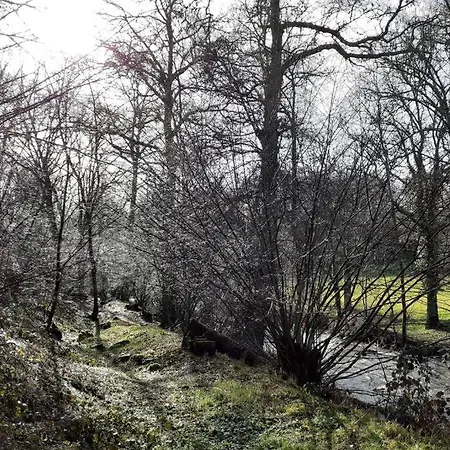 Magnifique Moulin Au Bord D'une Riviere, Calme Absolu, Piano Nyaraló *