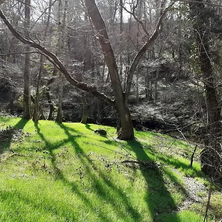 Nyaraló Magnifique Moulin Au Bord D'une Riviere, Calme Absolu, Piano