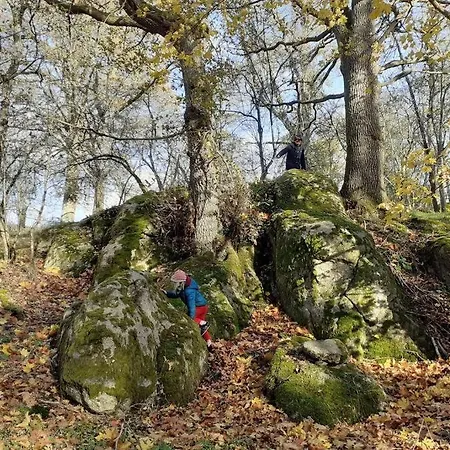 Magnifique Moulin Au Bord D'une Riviere, Calme Absolu, Piano * Doyet