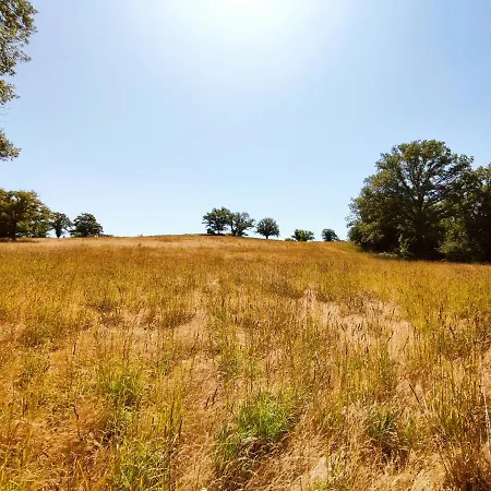 Magnifique Moulin Au Bord D'une Riviere, Calme Absolu, Piano Doyet