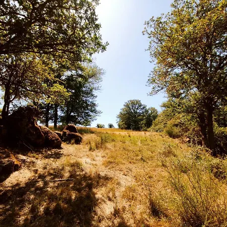 Magnifique Moulin Au Bord D'une Riviere, Calme Absolu, Piano *