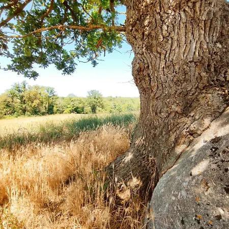 Nyaraló Magnifique Moulin Au Bord D'une Riviere, Calme Absolu, Piano