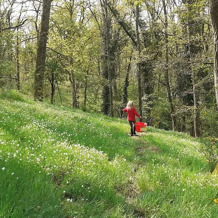 Nyaraló Magnifique Moulin Au Bord D'une Riviere, Calme Absolu, Piano Doyet