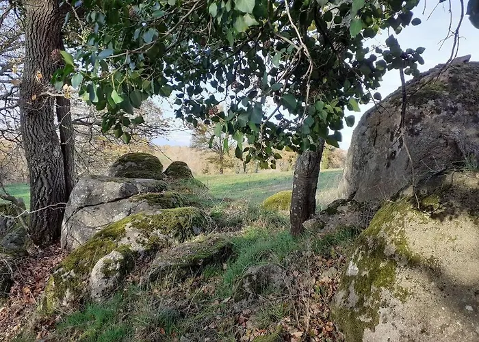 펜션 Magnifique Moulin Au Bord D'une Riviere, Calme Absolu, Piano