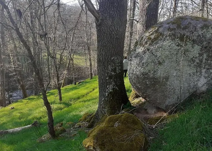 Magnifique Moulin Au Bord D'une Riviere, Calme Absolu, Piano *