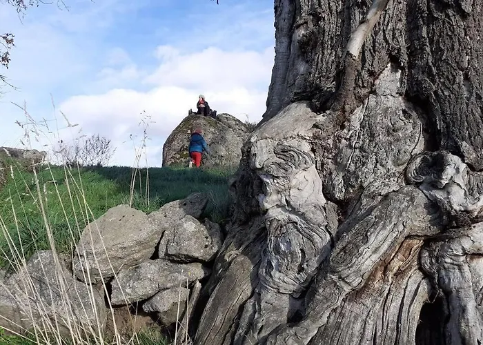 Magnifique Moulin Au Bord D'une Riviere, Calme Absolu, Piano Holiday home