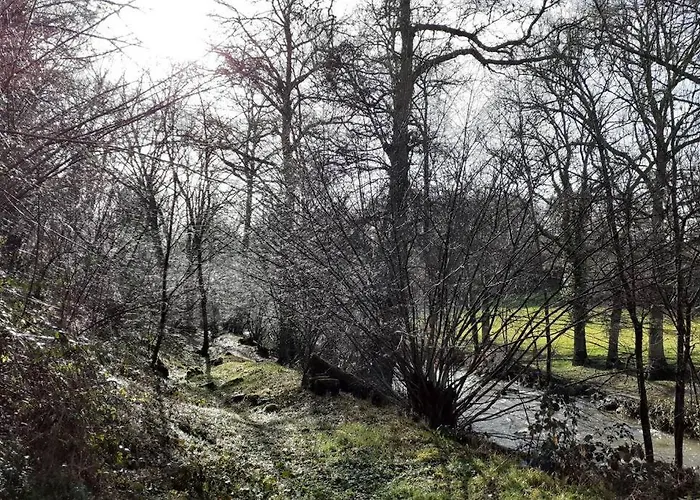 Magnifique Moulin Au Bord D'une Riviere, Calme Absolu, Piano 펜션 *