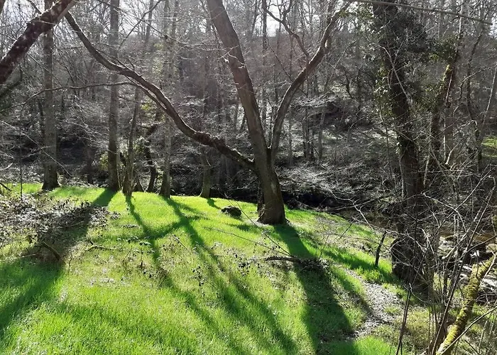 펜션 Magnifique Moulin Au Bord D'une Riviere, Calme Absolu, Piano