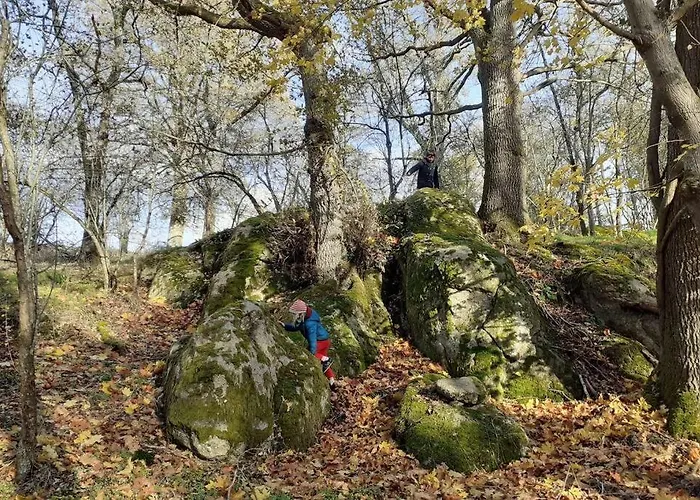 Magnifique Moulin Au Bord D'une Riviere, Calme Absolu, Piano * Doyet