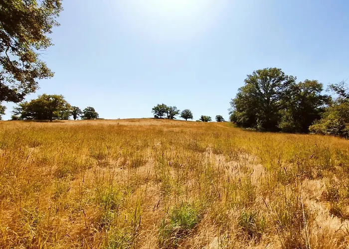 Magnifique Moulin Au Bord D'une Riviere, Calme Absolu, Piano Doyet