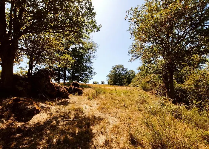 Magnifique Moulin Au Bord D'une Riviere, Calme Absolu, Piano *