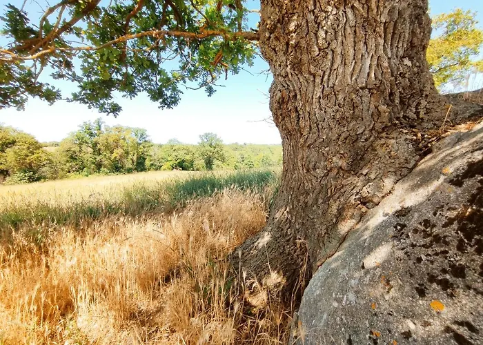 Holiday home Magnifique Moulin Au Bord D'une Riviere, Calme Absolu, Piano