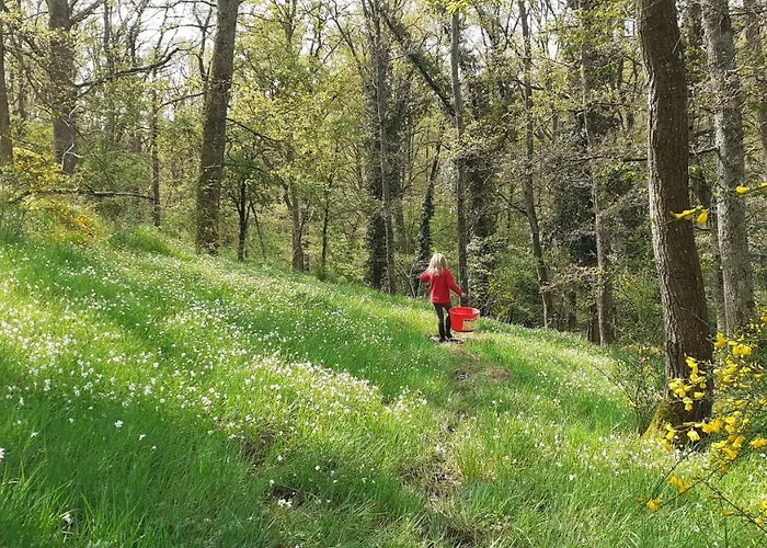 Holiday home Magnifique Moulin Au Bord D'une Riviere, Calme Absolu, Piano Doyet