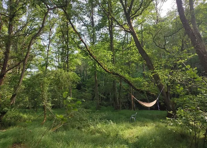 Magnifique Moulin Au Bord D'une Riviere, Calme Absolu, Piano Doyet