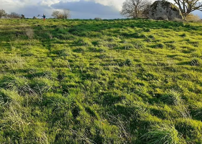 Holiday home Magnifique Moulin Au Bord D'une Riviere, Calme Absolu, Piano Doyet